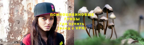 трава Аркадак