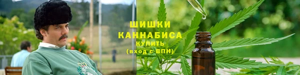 трава Аркадак