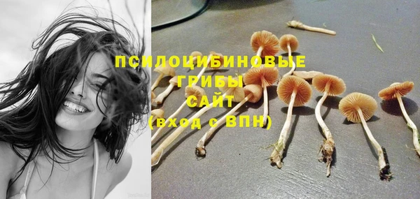 дживик Арсеньев