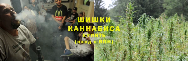 трава Аркадак